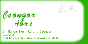 csongor abri business card